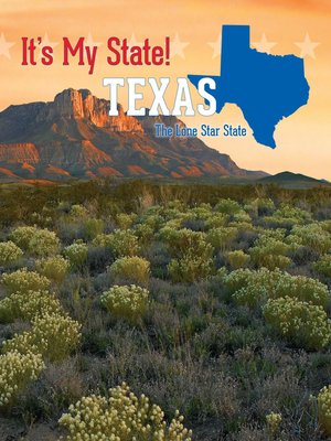 cover image of Texas